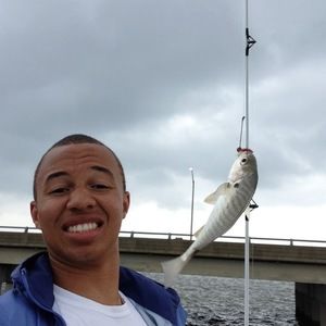 Meet your Posher, Donovan